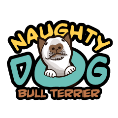 NAUGHTY DOG BULL TERRIER