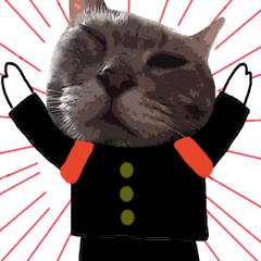 コミカルにゃんこ 写真 イラスト Line スタンプ Line Store