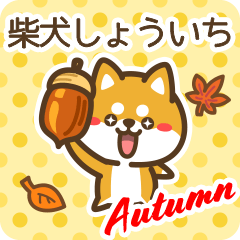 Shiba Shouichi in Autumn