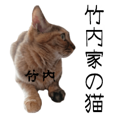 竹内家の猫