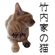 Cat of Takeuchi family