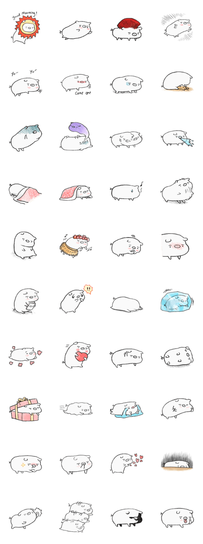 White pig shiboo 3