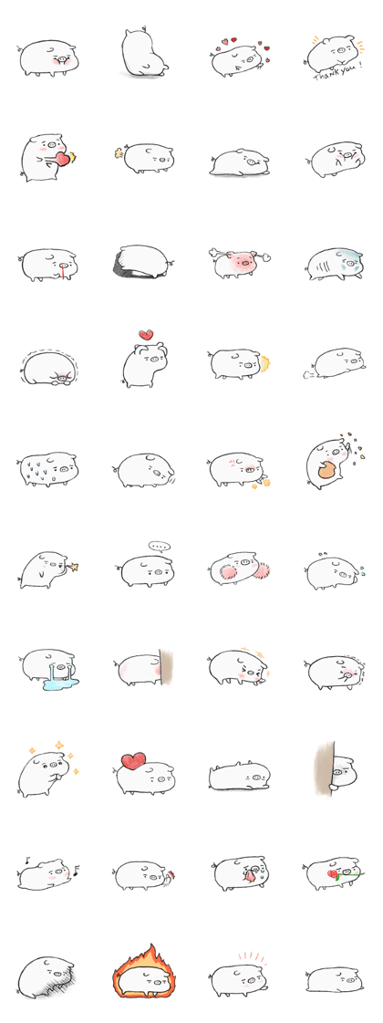 White pig shiboo