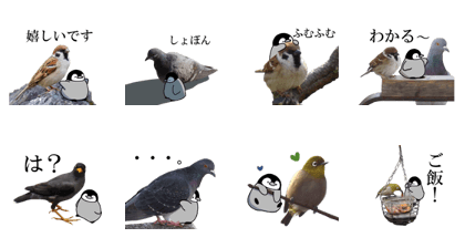 Pen-chan and wild birds