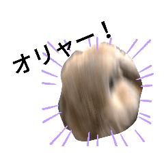 takashi_202010091346501