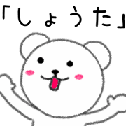Bear for SYOTA