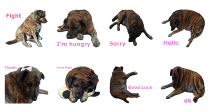 Fat Dog Dairy