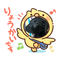 akiko_20201009130210