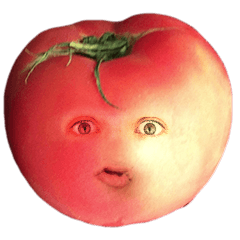 Tomato human