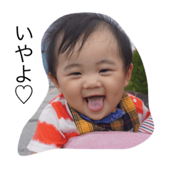 Panda_20201009151425