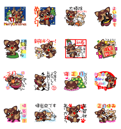 Chocolate color puppy's New year!