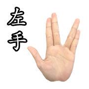left hand