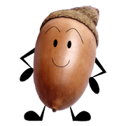 Acorn-chan of acorns