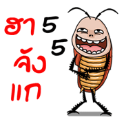 Mr.P-ter Ha Ha Ha 2.