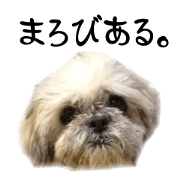 marobiaru