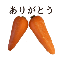 Stock carrots