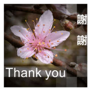 Photo sticker 1