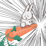 Gray rabbit go crazy