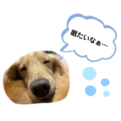 ayumi_20201009161021