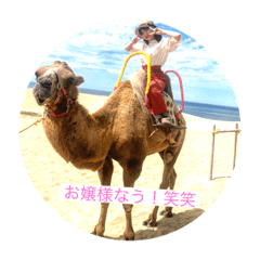 ringo_20201009173830