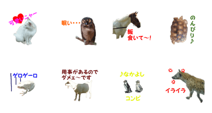 Realistic animal emotion Sticker