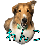 Ciel of Sticker of Shetland Sheepdog