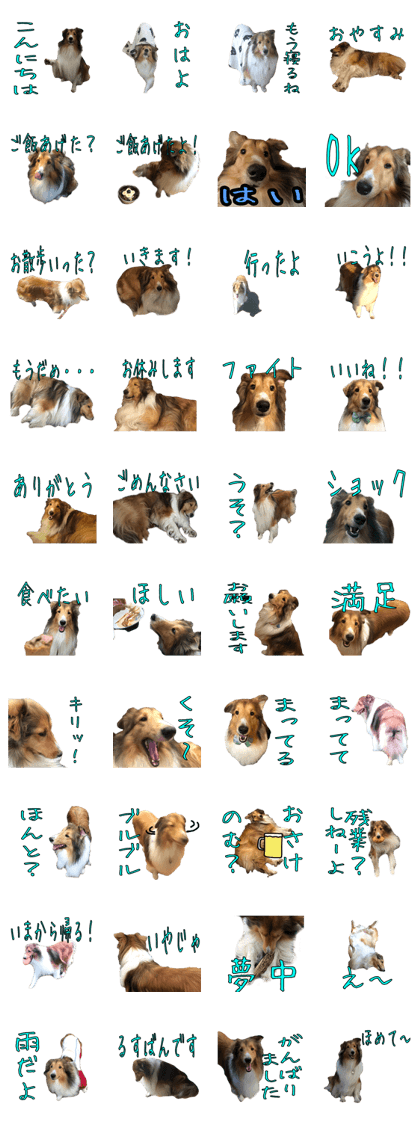 Ciel of Sticker of Shetland Sheepdog