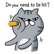 Calm cool cat
