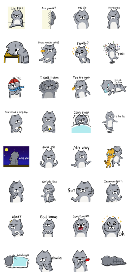 Calm cool cat