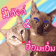Mee Tung & OmAm