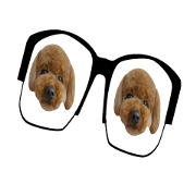 mashimadog Sticker