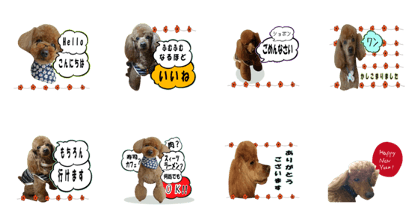 mashimadog Sticker