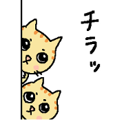 My cats , hinatiro (3)