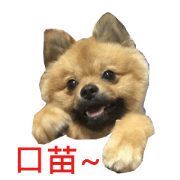 Bear Mon