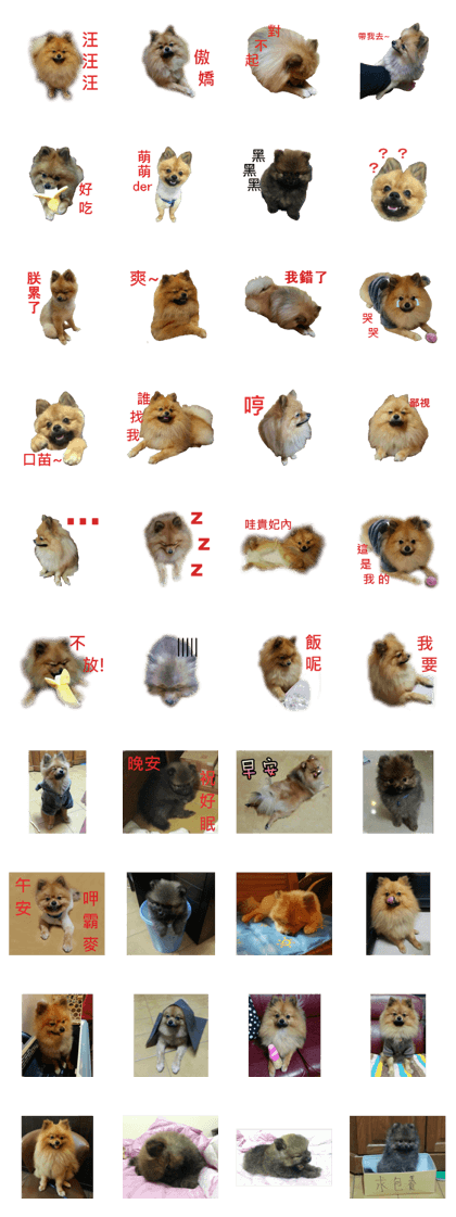 Bear Mon