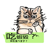 The cat tells you a mess(Common Talk)