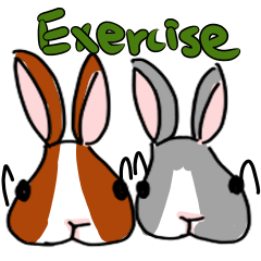 Rabbits working out