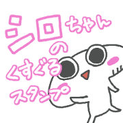 cutie shirochan