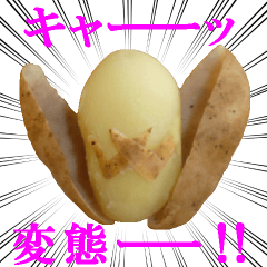 enjoyable potato sticker