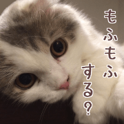 OMOCHI MOHUMOHU DAYS 2