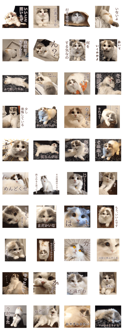 OMOCHI MOHUMOHU DAYS 2