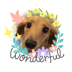 akiko_20201009224600