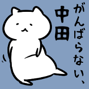 FlexibleCat(nakata)