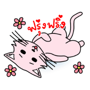 Kitten desire you THAI