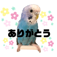 kazuki_20201010090237