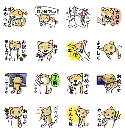 Mr. Shiba 5 ( Greeting )