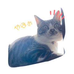 Cherry_20201010014127