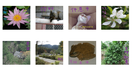 Mei Ying landscape photos