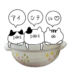 鍋猫で愛を伝えよう Line スタンプ Line Store