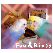 Fuu&Rin